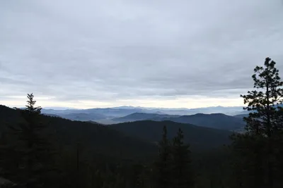 DSC_0136 (Large).JPG